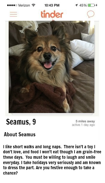 Seamus-Tinder-1